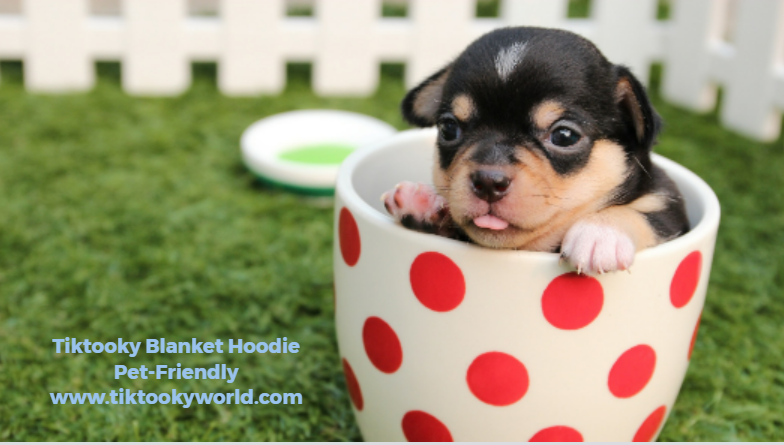 Why Blanket Hoodie is Pet-friendly?