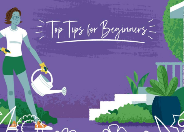 Top Gardening Tips for Beginners 1.1
